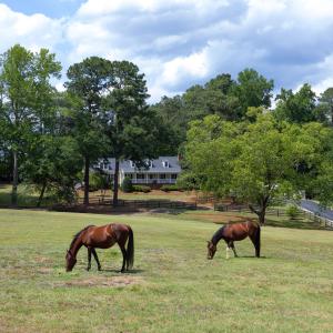 Photo #11 of 4205 MillPoint Dr., Wake Forest, NC 4.0 acres