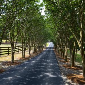 Photo #14 of 4205 MillPoint Dr., Wake Forest, NC 4.0 acres