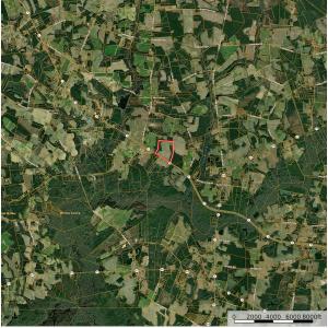 Photo #17 of Off of Highwy 9, Green Sea, SC 65.2 acres