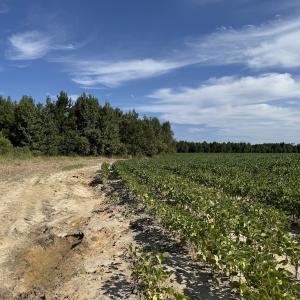 Photo #1 of Off of Highwy 9, Green Sea, SC 65.2 acres