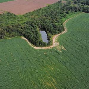 Photo #16 of Off of Highwy 9, Green Sea, SC 65.2 acres