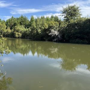 Photo #2 of Off of Highwy 9, Green Sea, SC 65.2 acres