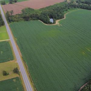 Photo #4 of Off of Highwy 9, Green Sea, SC 65.2 acres