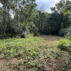 Photo #5 of Off of Highwy 9, Green Sea, SC 65.2 acres