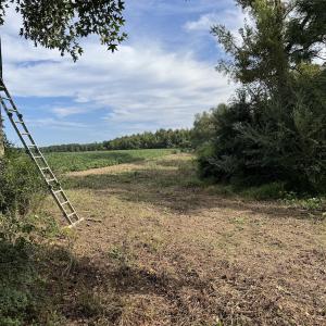 Photo #7 of Off of Highwy 9, Green Sea, SC 65.2 acres