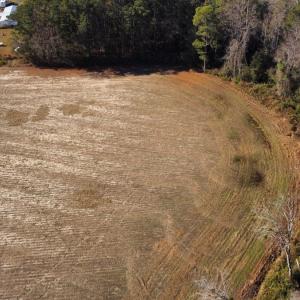Photo #3 of Off of Black Creek Rd, Nichols, SC 72.5 acres