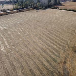 Photo #8 of Off of Black Creek Rd, Nichols, SC 72.5 acres