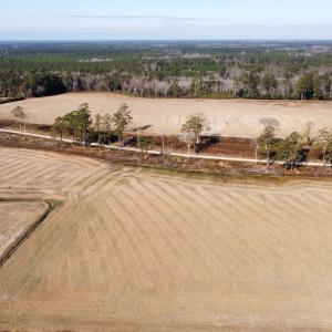 Photo #11 of Off of Black Creek Rd, Nichols, SC 72.5 acres