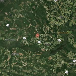Photo #15 of Off of Black Creek Rd, Nichols, SC 72.5 acres