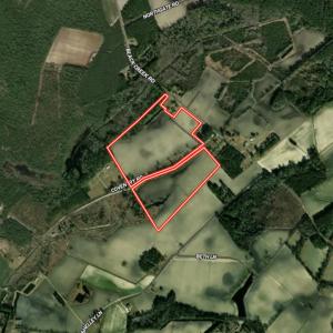 Photo #16 of Off of Black Creek Rd, Nichols, SC 72.5 acres