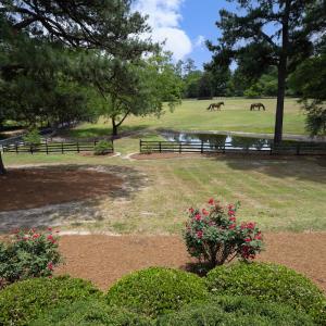 Photo #7 of 4205 MillPoint Dr., Wake Forest, NC 4.0 acres