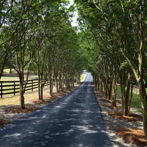 Photo #14 of 4205 MillPoint Dr., Wake Forest, NC 4.0 acres