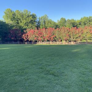 Photo #64 of 4205 MillPoint Dr., Wake Forest, NC 4.0 acres