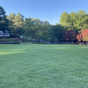 Photo #66 of 4205 MillPoint Dr., Wake Forest, NC 4.0 acres