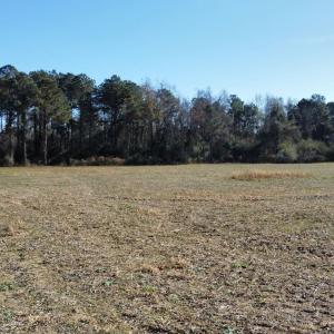 Photo #8 of Off of HWY 917, Nichols, SC 20.9 acres