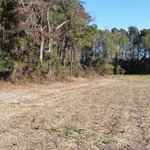 Photo #9 of Off of HWY 917, Nichols, SC 20.9 acres