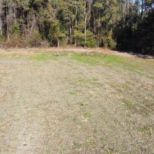 Photo #11 of Off of HWY 917, Nichols, SC 20.9 acres
