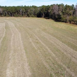 Photo #12 of Off of HWY 917, Nichols, SC 20.9 acres