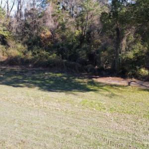 Photo #13 of Off of HWY 917, Nichols, SC 20.9 acres