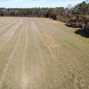 Photo #14 of Off of HWY 917, Nichols, SC 20.9 acres