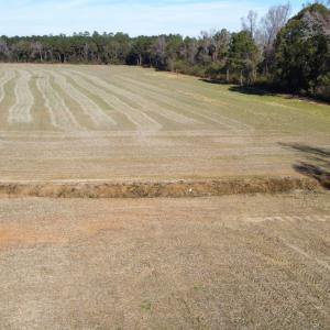 Photo #15 of Off of HWY 917, Nichols, SC 20.9 acres