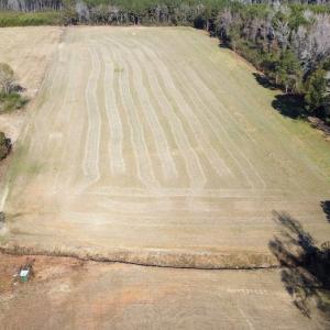 Photo #16 of Off of HWY 917, Nichols, SC 20.9 acres