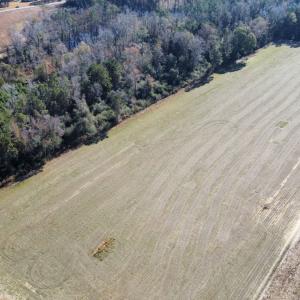Photo #19 of Off of HWY 917, Nichols, SC 20.9 acres