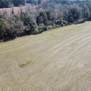Photo #20 of Off of HWY 917, Nichols, SC 20.9 acres