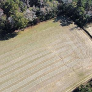Photo #1 of Off of HWY 917, Nichols, SC 20.9 acres