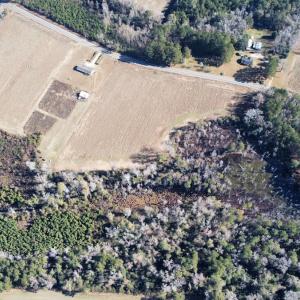 Photo #3 of Off of HWY 917, Nichols, SC 20.9 acres