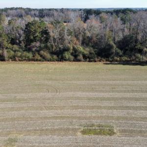 Photo #4 of Off of HWY 917, Nichols, SC 20.9 acres