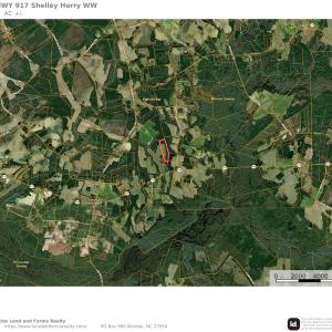 Photo #22 of Off of HWY 917, Nichols, SC 20.9 acres