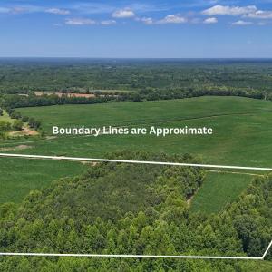 Photo #3 of 15 ac Off Titan Roberts Rd, Erwin, NC 15.0 acres