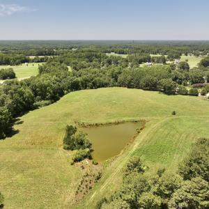 Photo #12 of 8341 Riley Hill Road, Zebulon, NC 35.6 acres