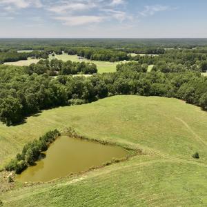 Photo #13 of 8341 Riley Hill Road, Zebulon, NC 35.6 acres