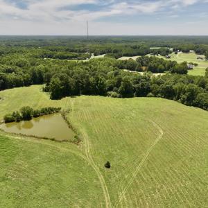 Photo #14 of 8341 Riley Hill Road, Zebulon, NC 35.6 acres