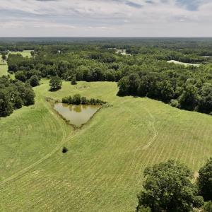 Photo #15 of 8341 Riley Hill Road, Zebulon, NC 35.6 acres