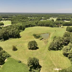 Photo #20 of 8341 Riley Hill Road, Zebulon, NC 35.6 acres