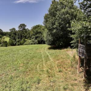 Photo #22 of 8341 Riley Hill Road, Zebulon, NC 35.6 acres