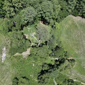 Photo #23 of 8341 Riley Hill Road, Zebulon, NC 35.6 acres