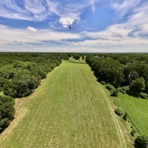 Photo #24 of 8341 Riley Hill Road, Zebulon, NC 35.6 acres