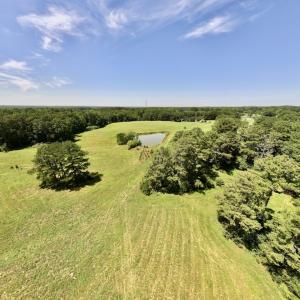 Photo #26 of 8341 Riley Hill Road, Zebulon, NC 35.6 acres