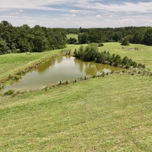 Photo #27 of 8341 Riley Hill Road, Zebulon, NC 35.6 acres