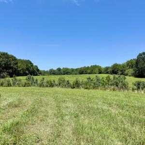 Photo #29 of 8341 Riley Hill Road, Zebulon, NC 35.6 acres