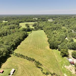 Photo #3 of 8341 Riley Hill Road, Zebulon, NC 35.6 acres