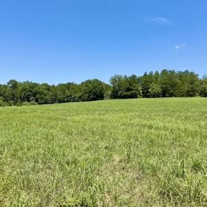 Photo #30 of 8341 Riley Hill Road, Zebulon, NC 35.6 acres