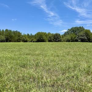 Photo #31 of 8341 Riley Hill Road, Zebulon, NC 35.6 acres