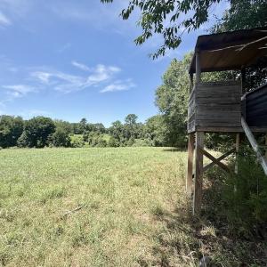 Photo #32 of 8341 Riley Hill Road, Zebulon, NC 35.6 acres
