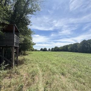 Photo #33 of 8341 Riley Hill Road, Zebulon, NC 35.6 acres