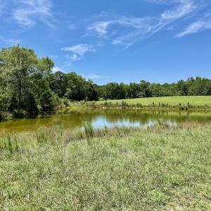 Photo #34 of 8341 Riley Hill Road, Zebulon, NC 35.6 acres